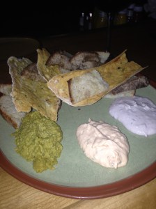 The Green Well's Bread & Spread (Dips: curry lentil, tomato basil, and blueberry jalapeño)